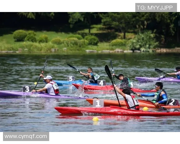 赛程重新编排助力赛事公平性提升与观众体验优化的全新探索